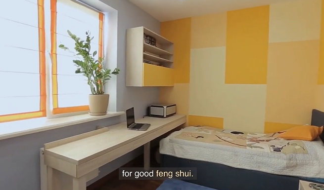 Best Plants For Top Of Cupboards Feng Shui