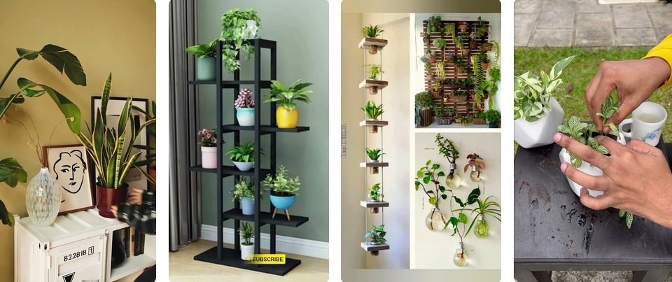 Plants on Top of Cupboards Indoors